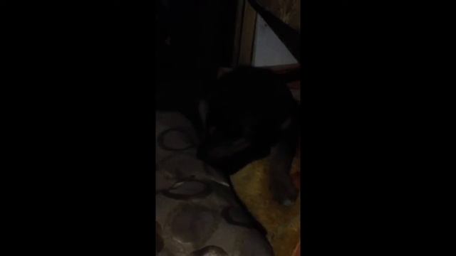 Беженец смотреть онлайн