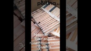 1Продолжение 2  Не столько познавательно, сколь любопытно  — сделано в Clipchamp