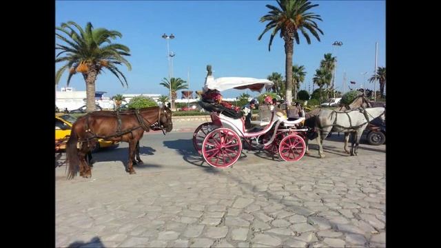 Tunézia 2013 Selima смотреть онлайн