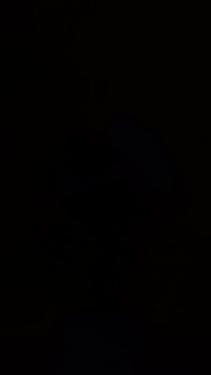 ответы на вопросы