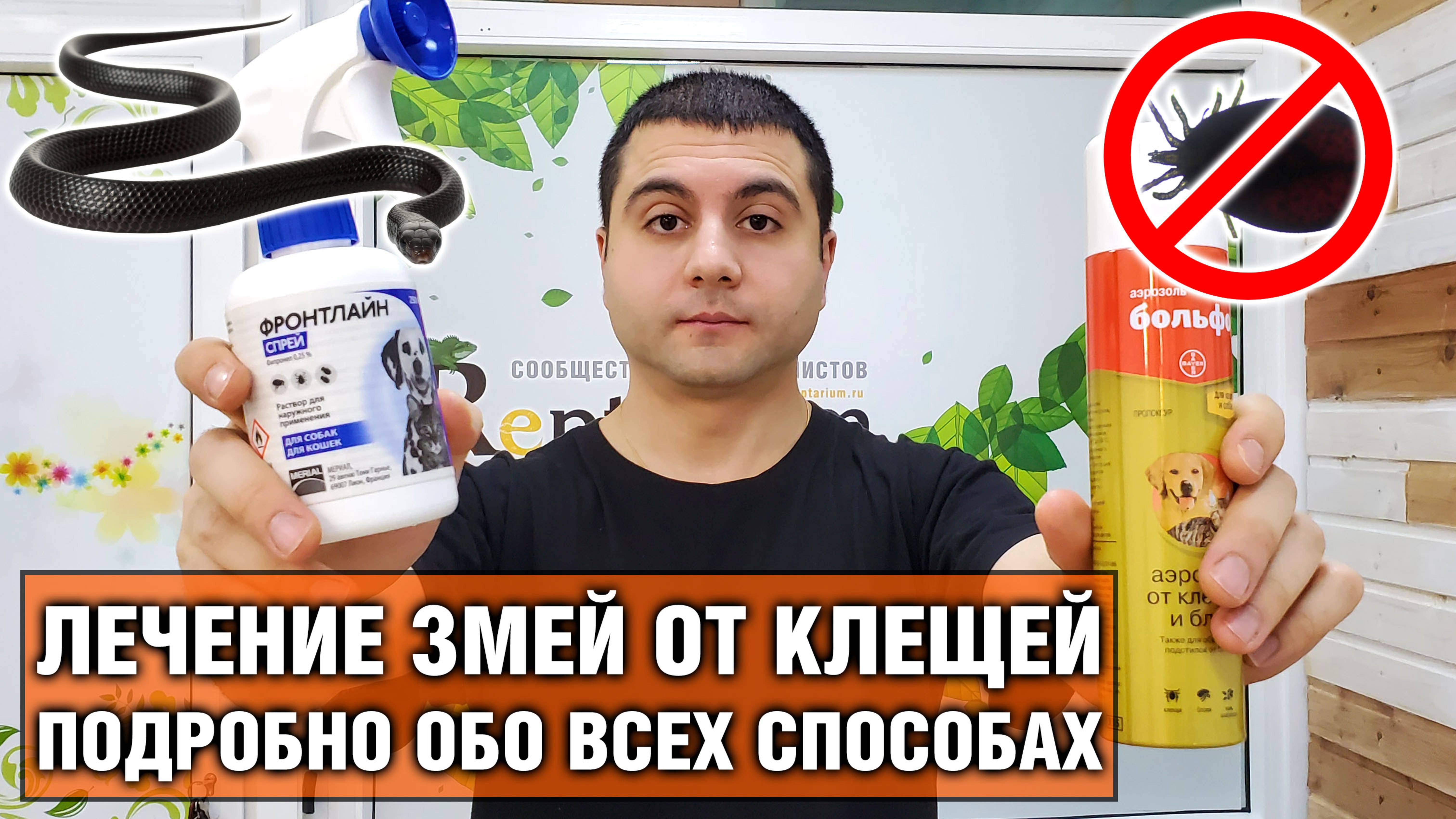 Как вылечить змею от клещей — 3 способа лечения змеи от клещей