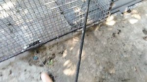 нужная вещь для домашних маленьких утят.