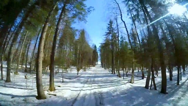 Апрельский лес смотреть онлайн