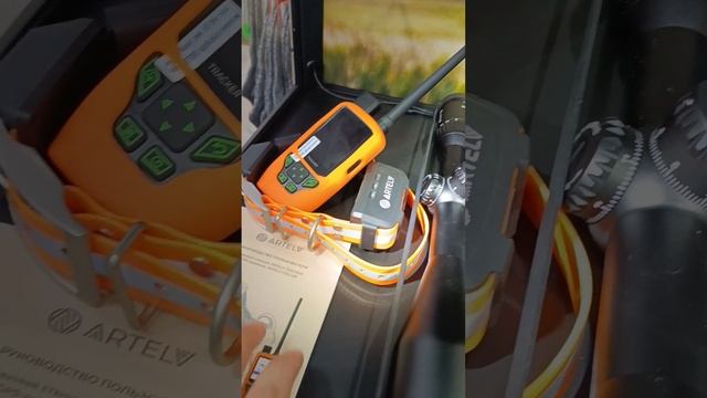 Поступление ошейников GPS для собак #ошейникдлясобаки#gpsошецник #hunter