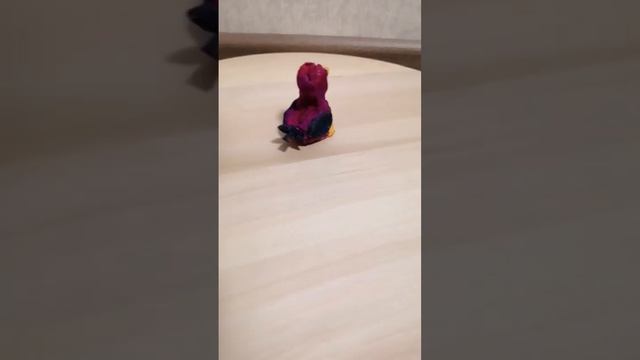 Птица Опила из глины