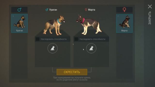 ВЫВЕЛ ТОПОВУЮ СОБАКУ///РЕДКИЙ ПЕС//ЭПИК ФЕЙЛ В КОНЦЕ//Last Day on Earth: Survival смотреть онлайн