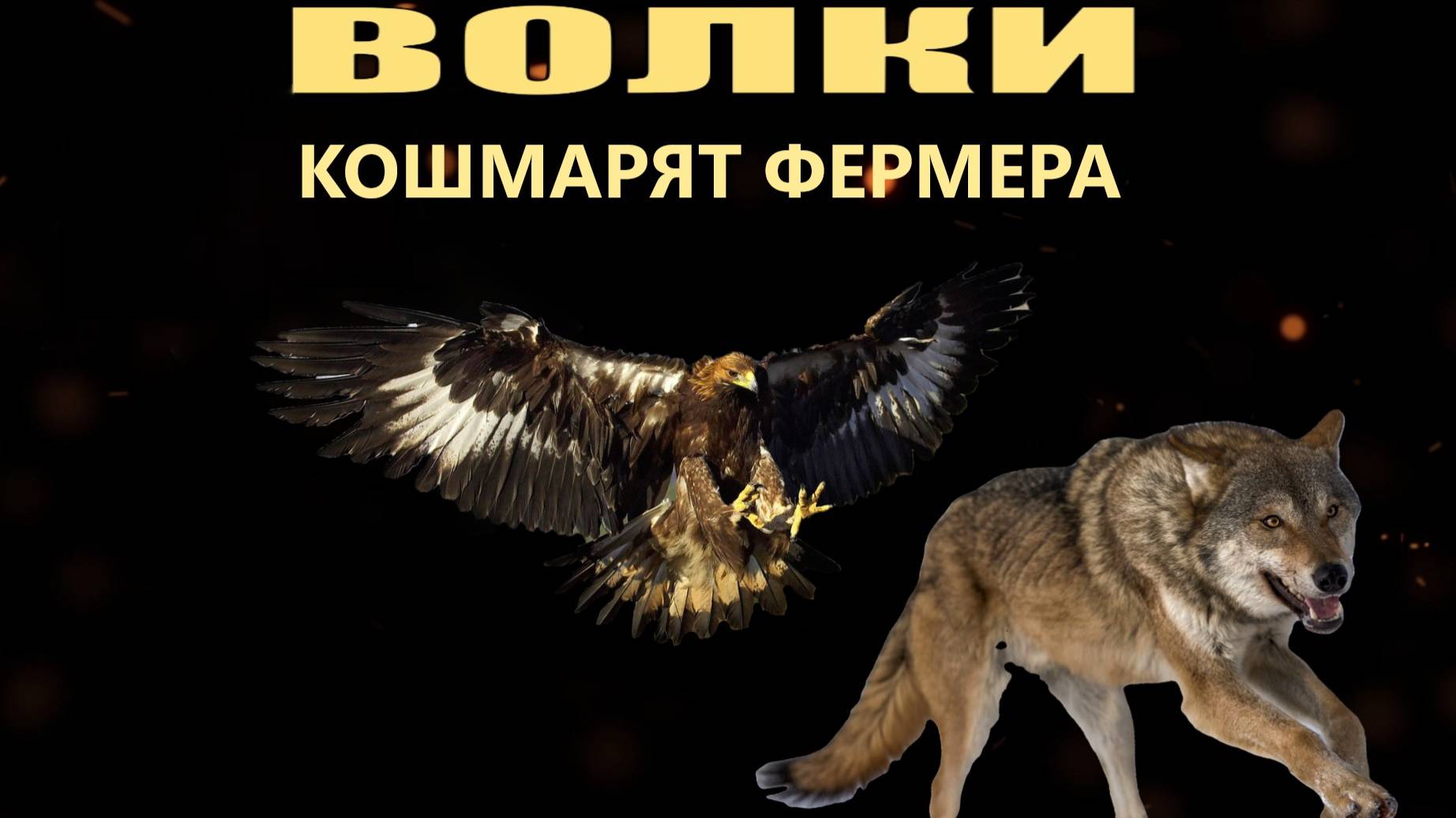 Охота в России, волки кошмарят фермера, Ингушетия Сурхахи