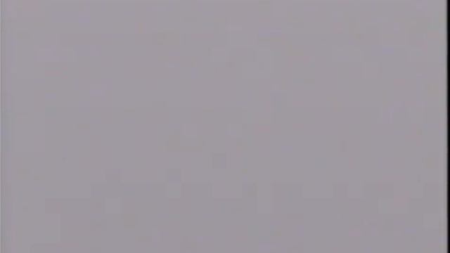 12 Социализация