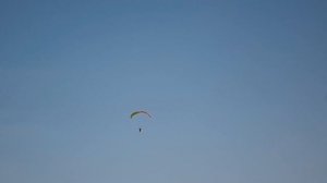 Дядя Дима №1