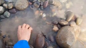 МОХИ КАПИ ДАР ДАРЁЙ ВАХШ КИЗИЛРКАЛА