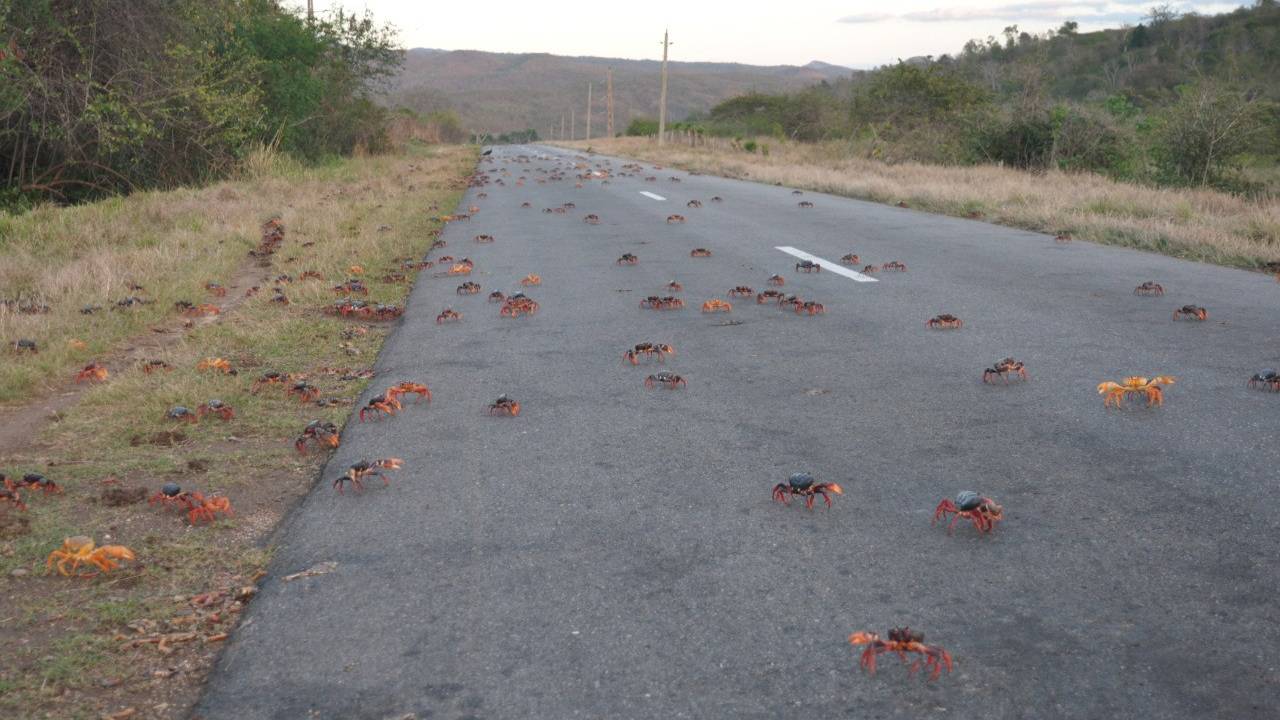 Путешествие на Кубу