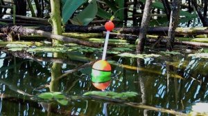 супер рыбалка на карпа.