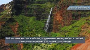 Сура Аль-Бакара. Омар Хишам переводом