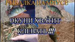 Мощный Клёв Окуней! Рыбалка На МИУСЕ". Клёв Карасей и Злых Окуней