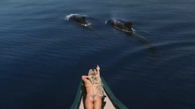 Dance music смотреть онлайн