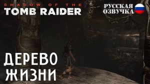 Прохождение гробницы "Дерево жизни" в игре Shadow of the Tomb Raider