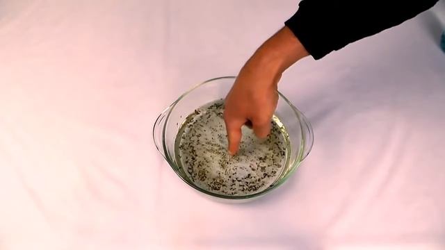 10 трюков с водой,как заработать на воде? Top 10 tricks with water, how to make money on the water? смотреть онлайн