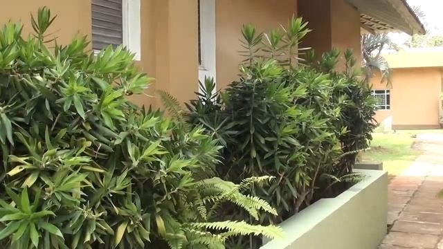 Club Palm Bay 4*( Животный мир.)Шри-Ланка.