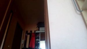 Поймал жука усача