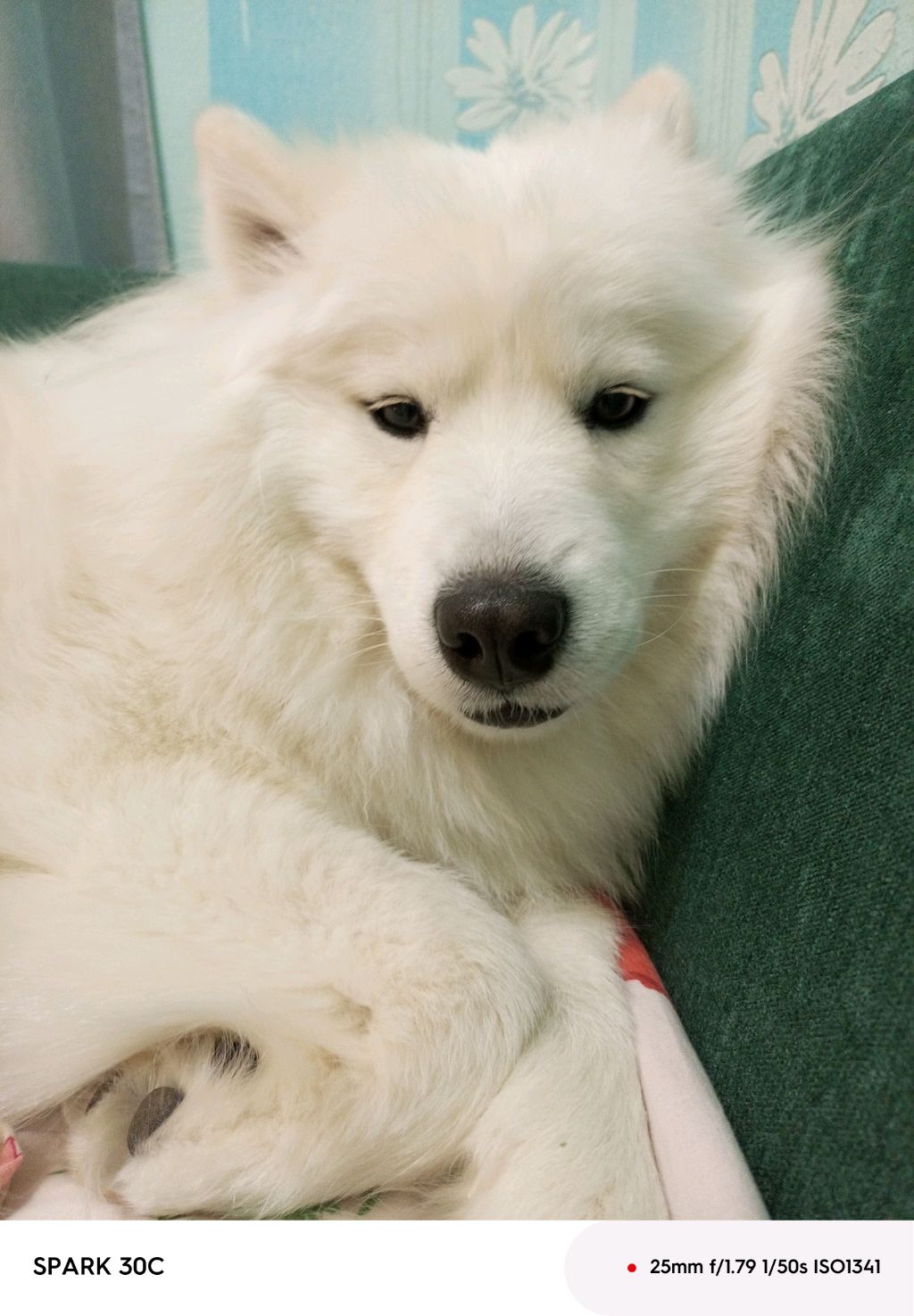 таксую смотреть онлайн