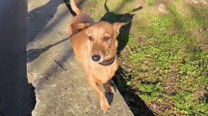 Мы с Люсей на прогулке