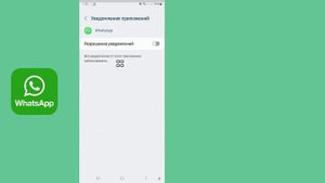 Уведомление WhatsApp не отображается на главном экране 2024 | Уведомление WhatsApp не приходит