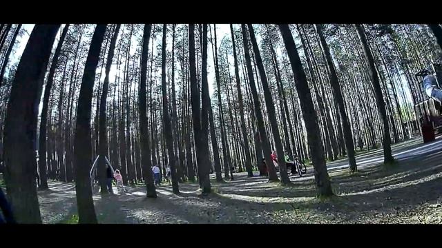 Forest park смотреть онлайн