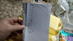 С гусями закончили😏 Ворчит как дед😍 Подарки продолжаются😘💃 Итоги по гусям🦢Жизнь в своем доме🏡