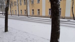 Новый 2025 год, Ораниенбаум