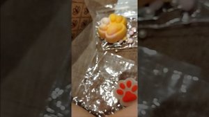 таба лапки 🐾