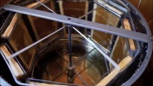 Дети на пасеке