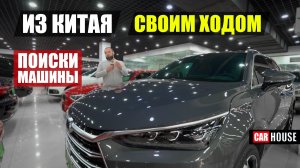 Авторынок Китая. В поисках живого BYD Tang.