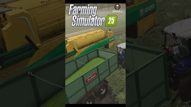 Farming Simulator 25/ Выгрузка