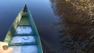 нерест леща