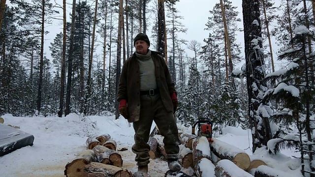 Шестой день в лесу. Белка летяга. смотреть онлайн