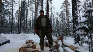 Шестой день в лесу. Белка летяга.