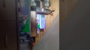 играю в приставку Титан гонки