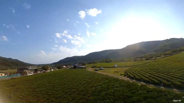 Чай смотреть онлайн