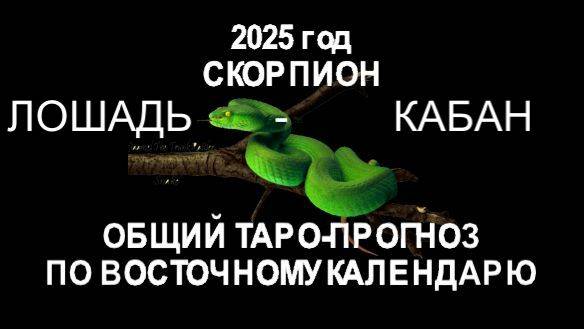 ОБЩИЙ ТАРО-ПРОГНОЗ НА 2025 ГОД ПО ВОСТОЧНОМУ КАЛЕНДАРЮ СКОРПИОН (ЛОШАДЬ-КАБАН)