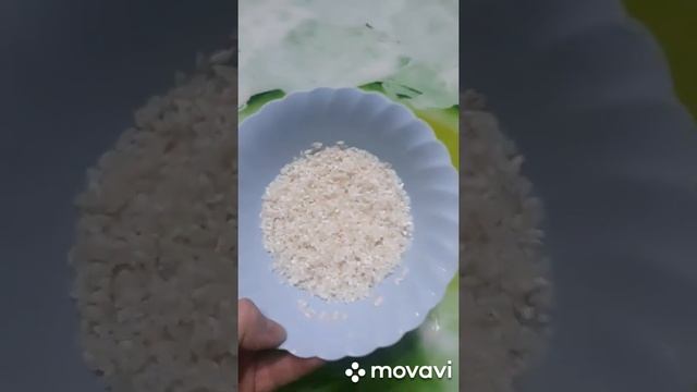 Каша на Ne Moloke