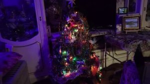 639. НОВОГОДНИЕ ОГОНЬКИ в НАШЕМ ДОМЕ! Алупка. Крым. 2 янв 2025.