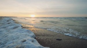 Musicshake - Falling For Figaro (Official Music Video)