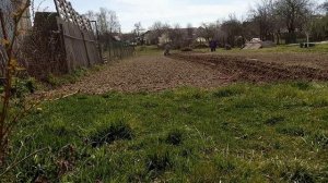 Нарезаем борозды для посадки картофеля