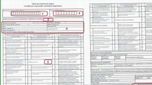 Карта техосмотра 2021 как проверить по базе легально