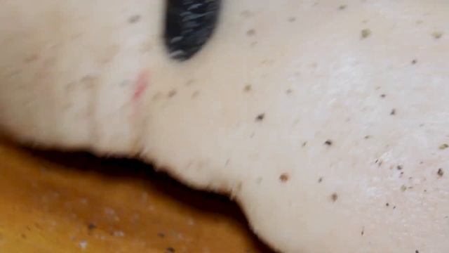 Обалденный способ засолки грудинки! Соленая грудинка! Засол в вакууматоре!