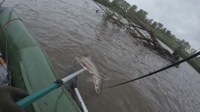 🎣КРОКОДИЛ🎣#сезонконтентаRUTUBE