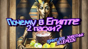 Хургада весна 2023 Пасха и BlueMoon Animal Center