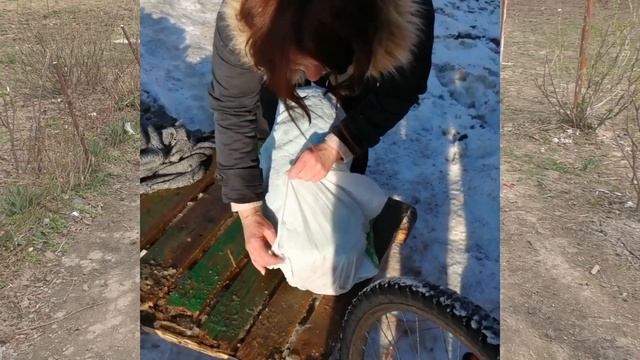 Видео про мою собаку MAX ASKET смотреть онлайн