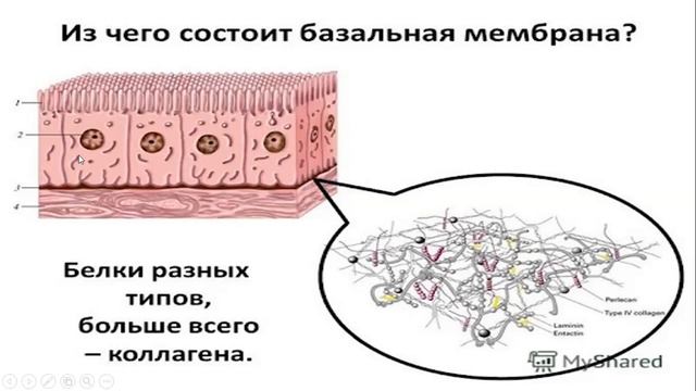 Основы эстетической косметологии#красота #обучениекосметологов #инъекциикрасоты