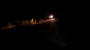 11 серия МАЛЬЧИК СПАС МЕНЯ И ПОМОГ МНЕ СБЕЖАТЬ ИЗ ДОМА СУМАСШЕДШИХ, НО ПОПАЛСЯ В ЛОВУШКУ